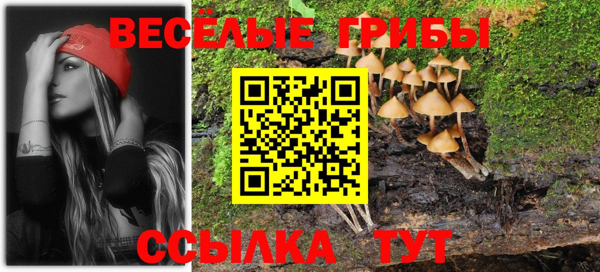 Шадринск  Галлюциногенные грибы мицелий  Вход с VPN 